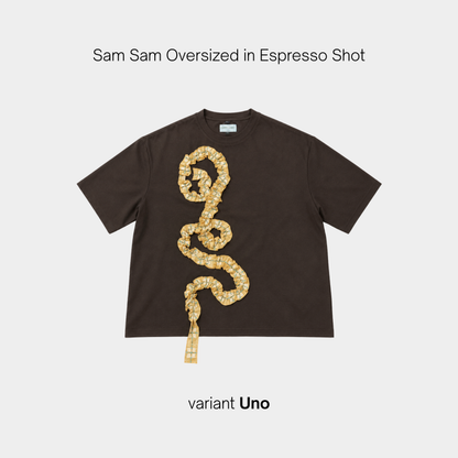 Sam Sam Oversized Tshirt in Espresso Shot