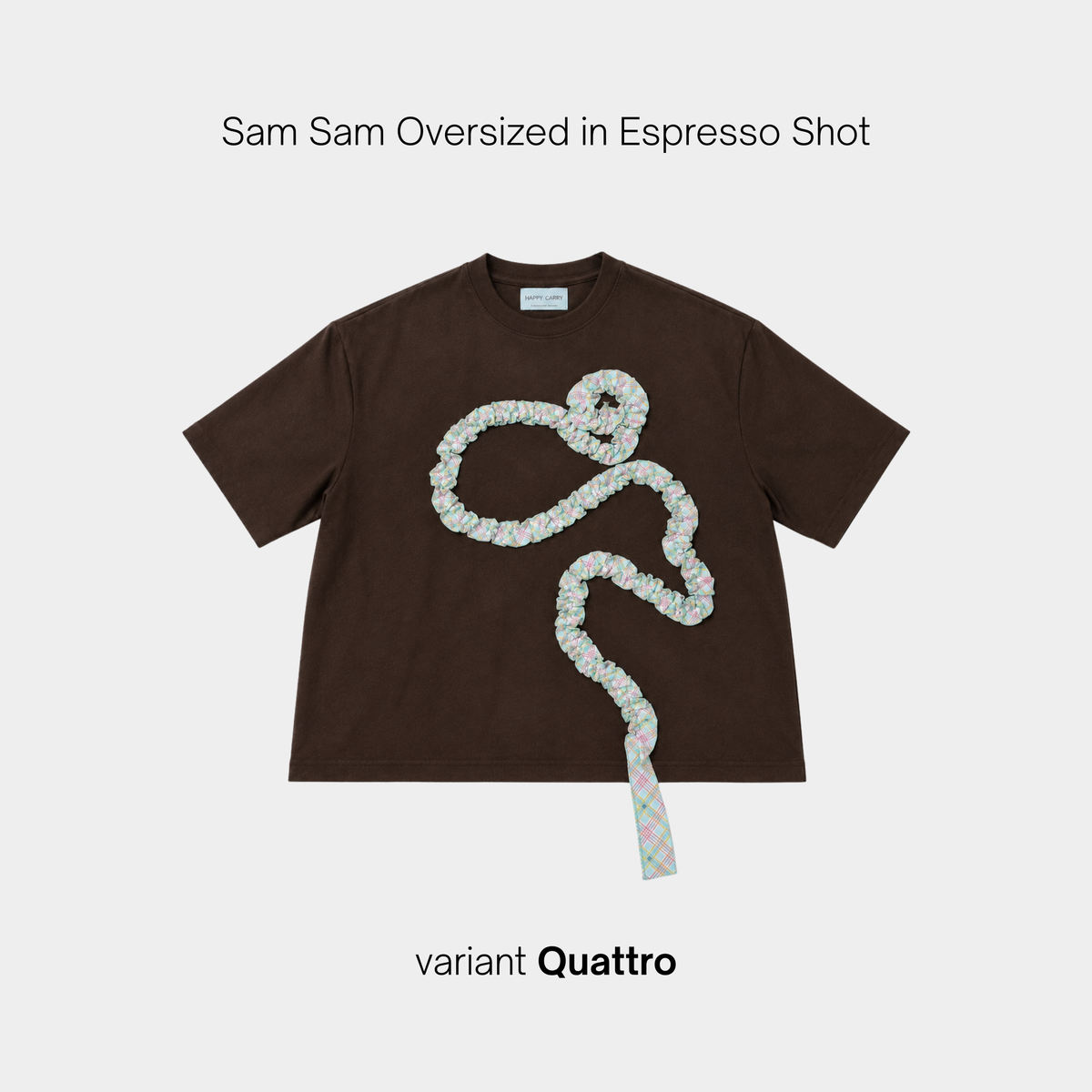 Sam Sam Oversized Tshirt in Espresso Shot